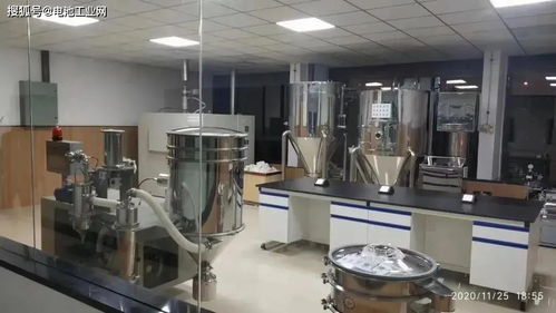 龙蟠科技研究院锂电池材料研发中心正式启用