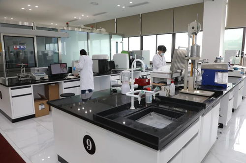 聚力打造协同创新引领区和创新策源地 唐川调研科技创新 研发 企业