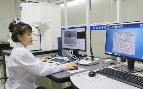 科技创新为发展赋能 包钢股份成功研发高强度热处理钢轨 实现首次出口