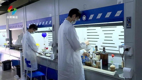 筑巢引凤 荷城这个产业平台打造科技创新 新引擎