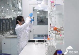 日照临沂等6市重点项目落实的如何 省委书记带队实地观摩