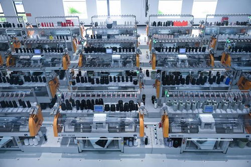 福建向新逐智：传统产业长新枝，科技研发注入新活力