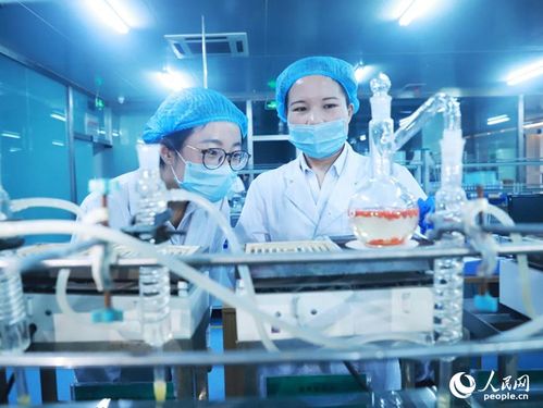 活力宁夏丨科技为 小红果 插上腾飞翅膀