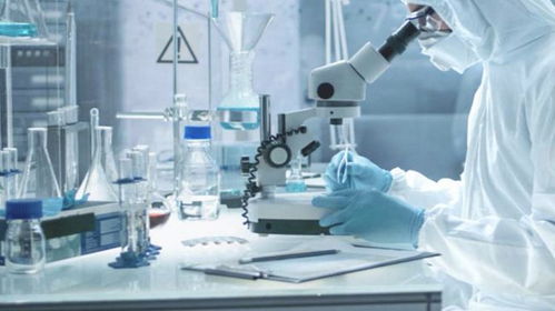 光希德国实验室 科技创新驱动下研发实力的深度解析